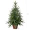 2.5ft. Pre-Lit Christmas Tree with Planter, Clear Lights